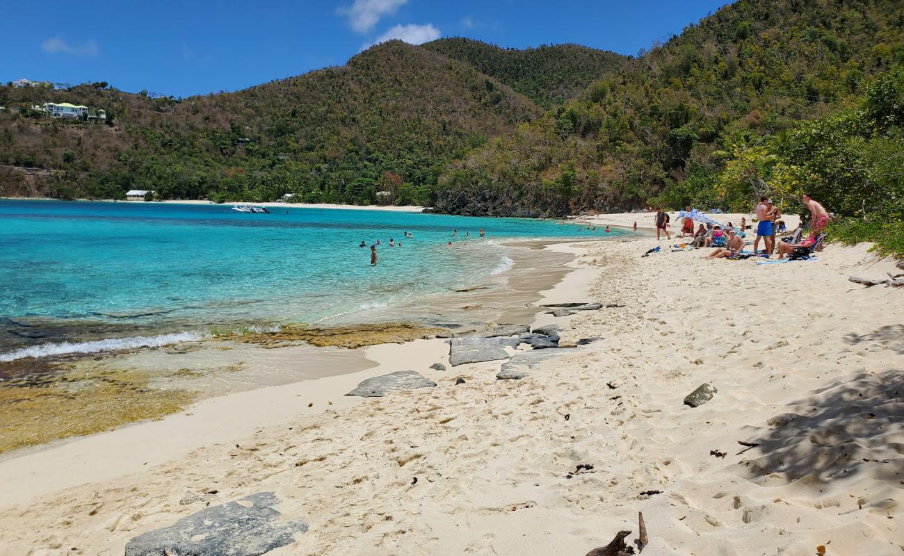Hawksnest beach'in fotoğrafı i̇nce bej kum yüzey ile