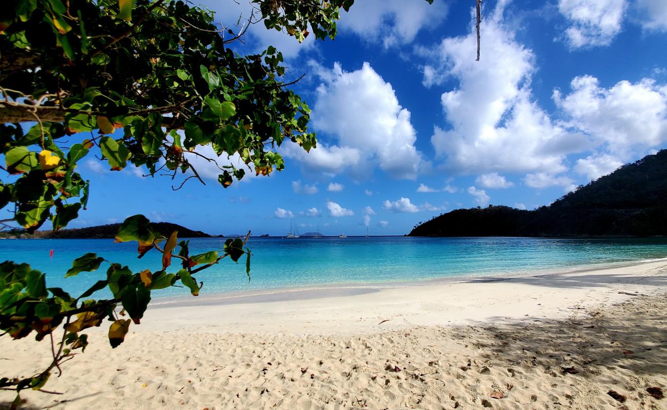 Oppenheimer beach'in fotoğrafı parlak ince kum yüzey ile