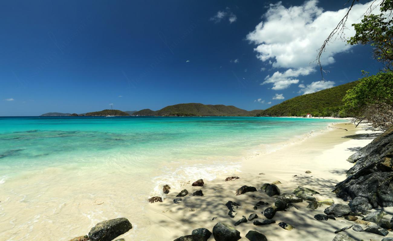 Peter Bay beach'in fotoğrafı parlak ince kum yüzey ile