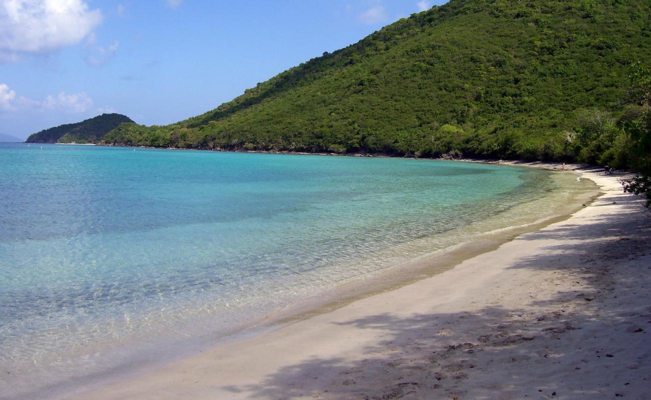 Francis Bay beach'in fotoğrafı i̇nce bej kum yüzey ile