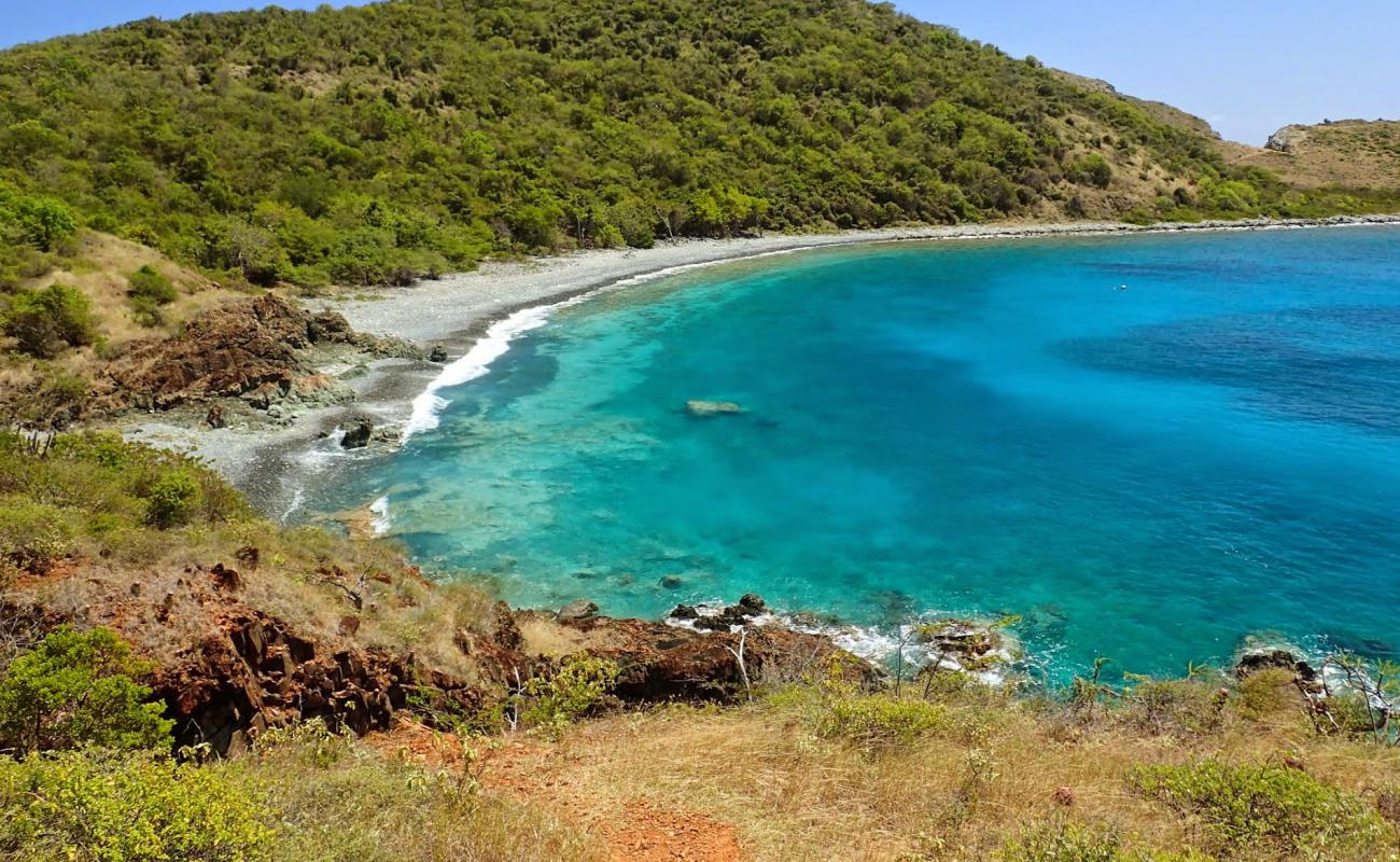 Blue Cobblestone beach'in fotoğrafı gri çakıl taşı yüzey ile