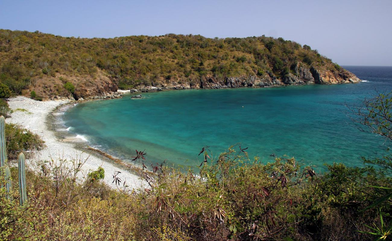 Kiddel Bay beach'in fotoğrafı gri çakıl taşı yüzey ile
