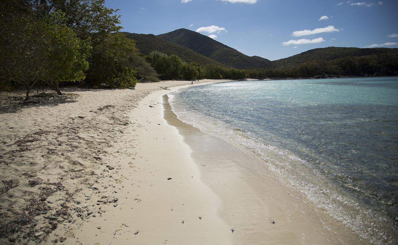 Lameshur beach'in fotoğrafı parlak ince kum yüzey ile