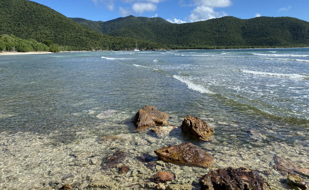 Little Reef beach'in fotoğrafı taşlı kum yüzey ile