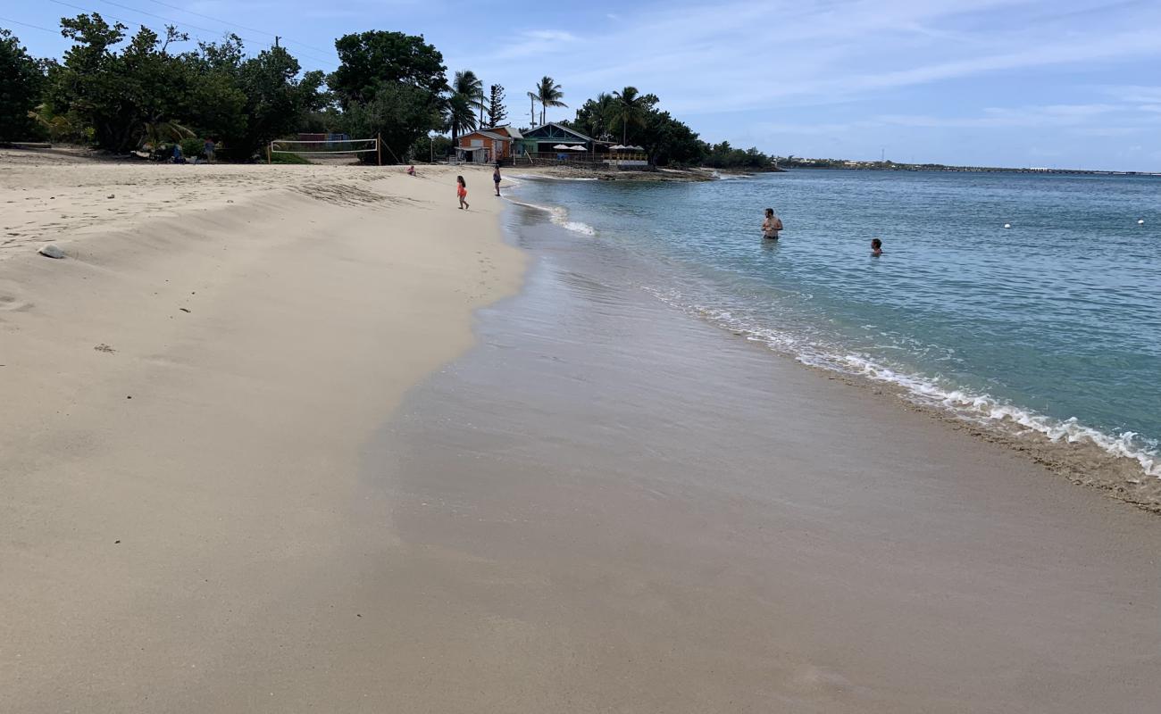 Rainbow beach'in fotoğrafı i̇nce bej kum yüzey ile