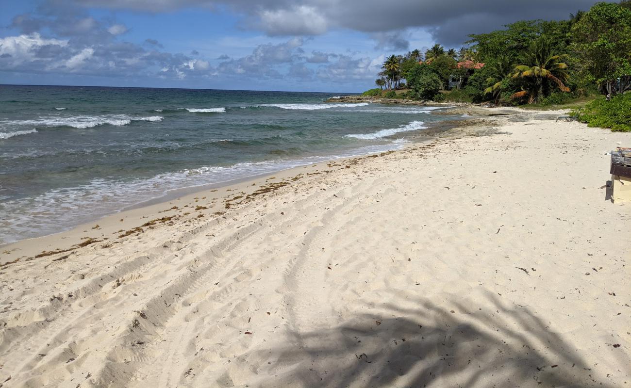 Davis beach'in fotoğrafı açık bej kum yüzey ile