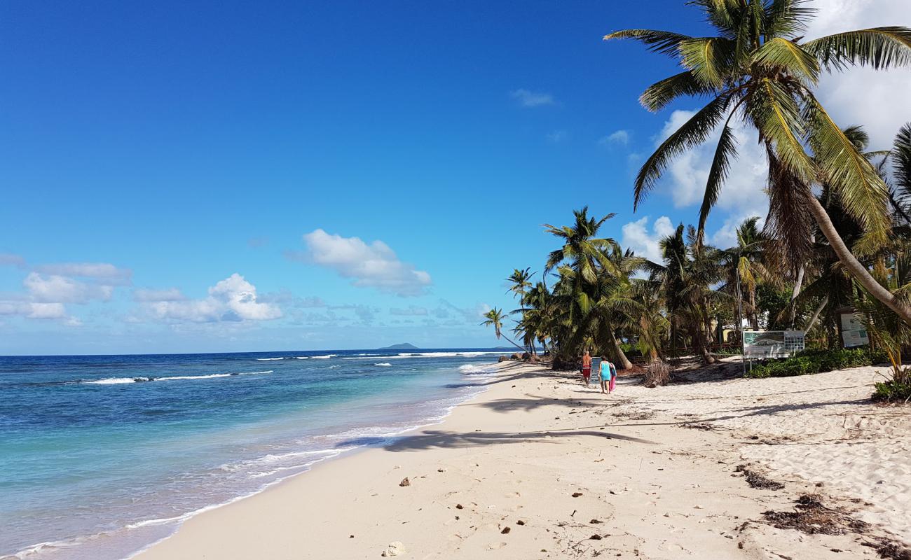 Pelican Cove beach'in fotoğrafı i̇nce bej kum yüzey ile