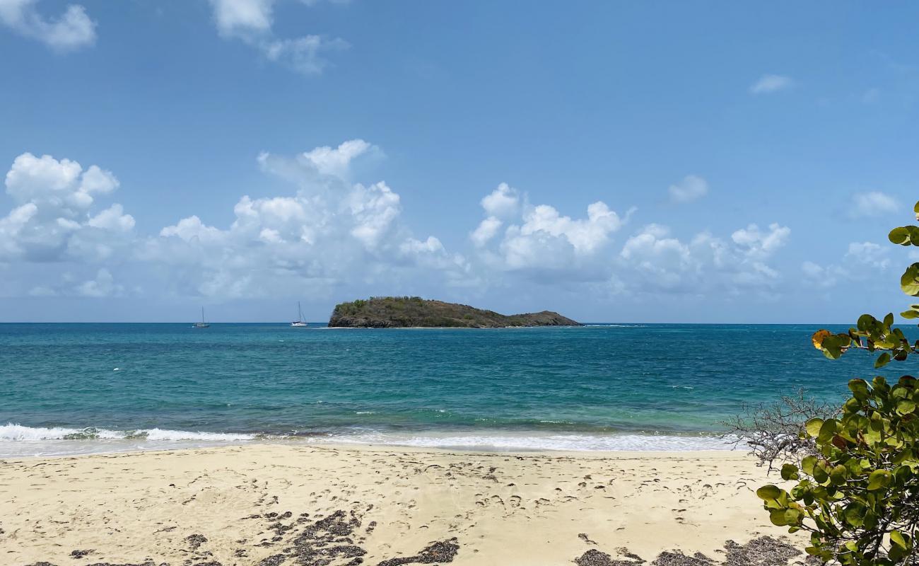 Tamarind Reef beach'in fotoğrafı i̇nce bej kum yüzey ile
