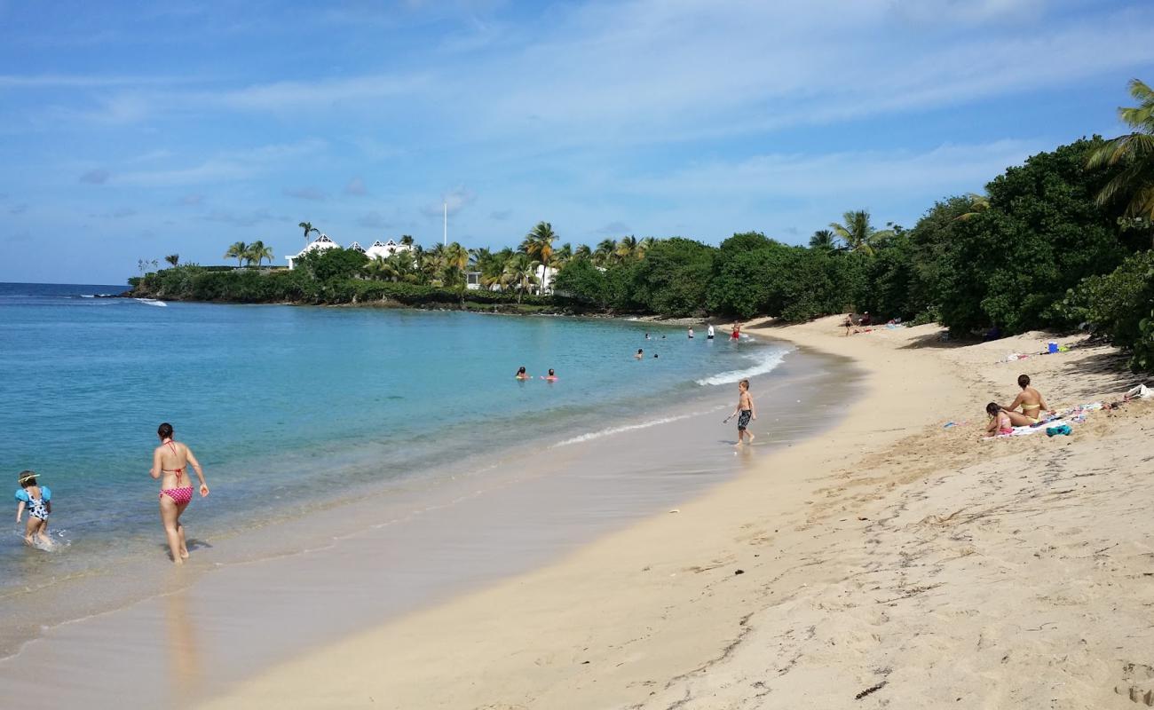 St. Croix Chenay beach'in fotoğrafı i̇nce bej kum yüzey ile