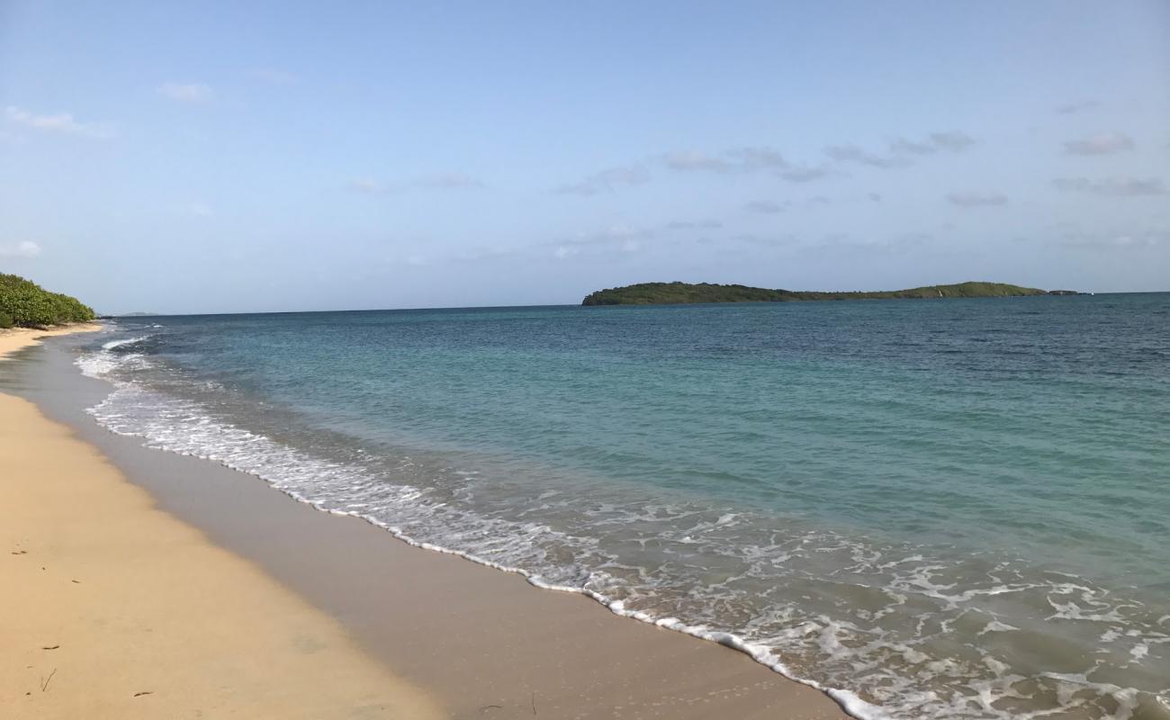 Smugglers Cove beach'in fotoğrafı i̇nce bej kum yüzey ile