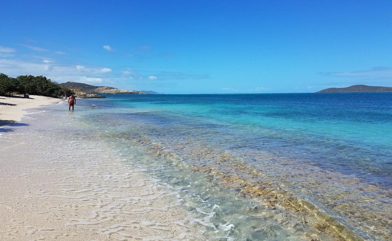 Cramer Park beach'in fotoğrafı i̇nce bej kum yüzey ile