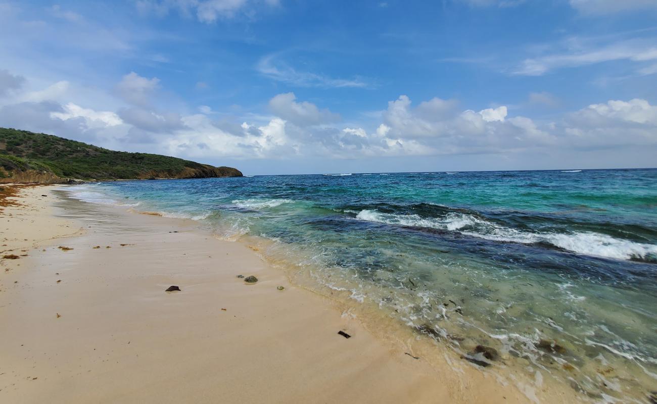 Isaacs Bay beach'in fotoğrafı açık bej kum yüzey ile