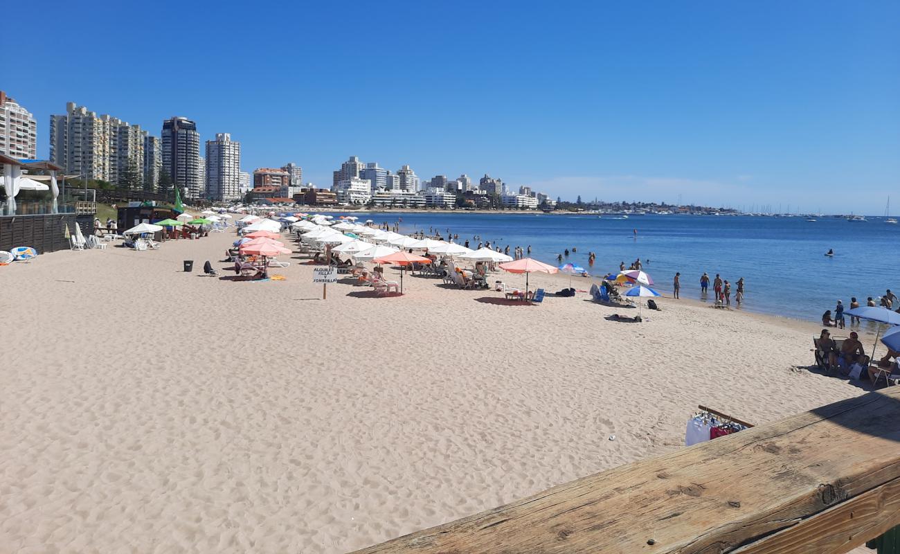 Mansa Beach'in fotoğrafı açık bej kum yüzey ile