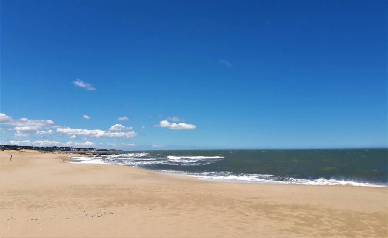 Balneario Santa Monica Beach'in fotoğrafı açık bej kum yüzey ile