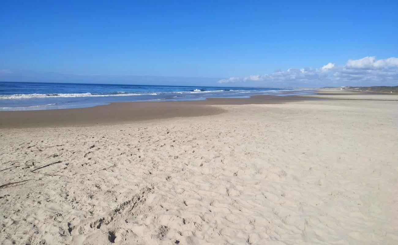 Anaconda Beach'in fotoğrafı açık bej kum yüzey ile