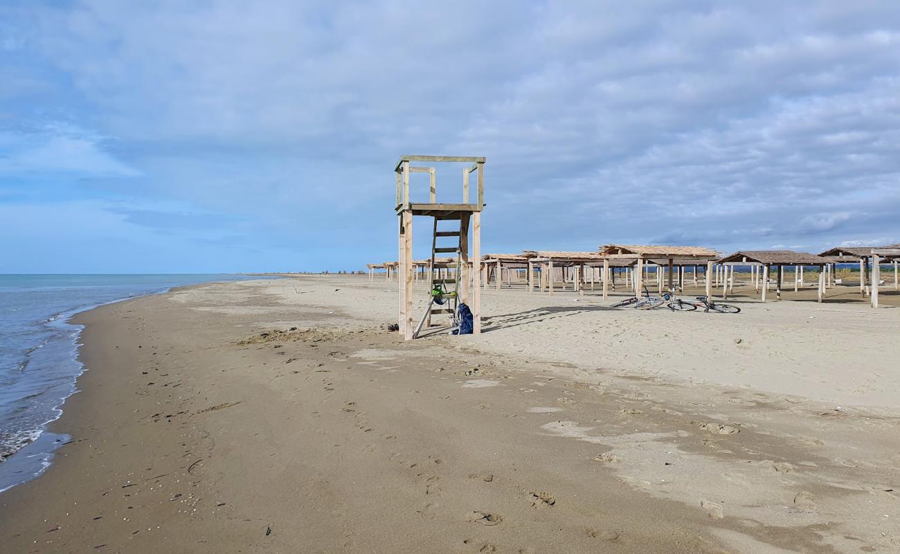 Divjaka Resort Beach'in fotoğrafı gri kum yüzey ile