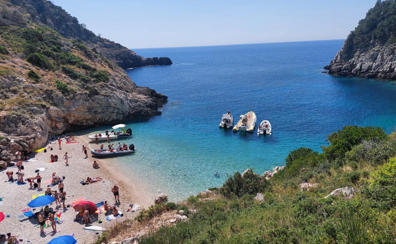 Gjiri i Dafines'in fotoğrafı küçük bej çakıl yüzey ile