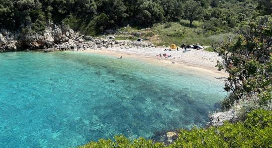 Gjiri i Brisanit