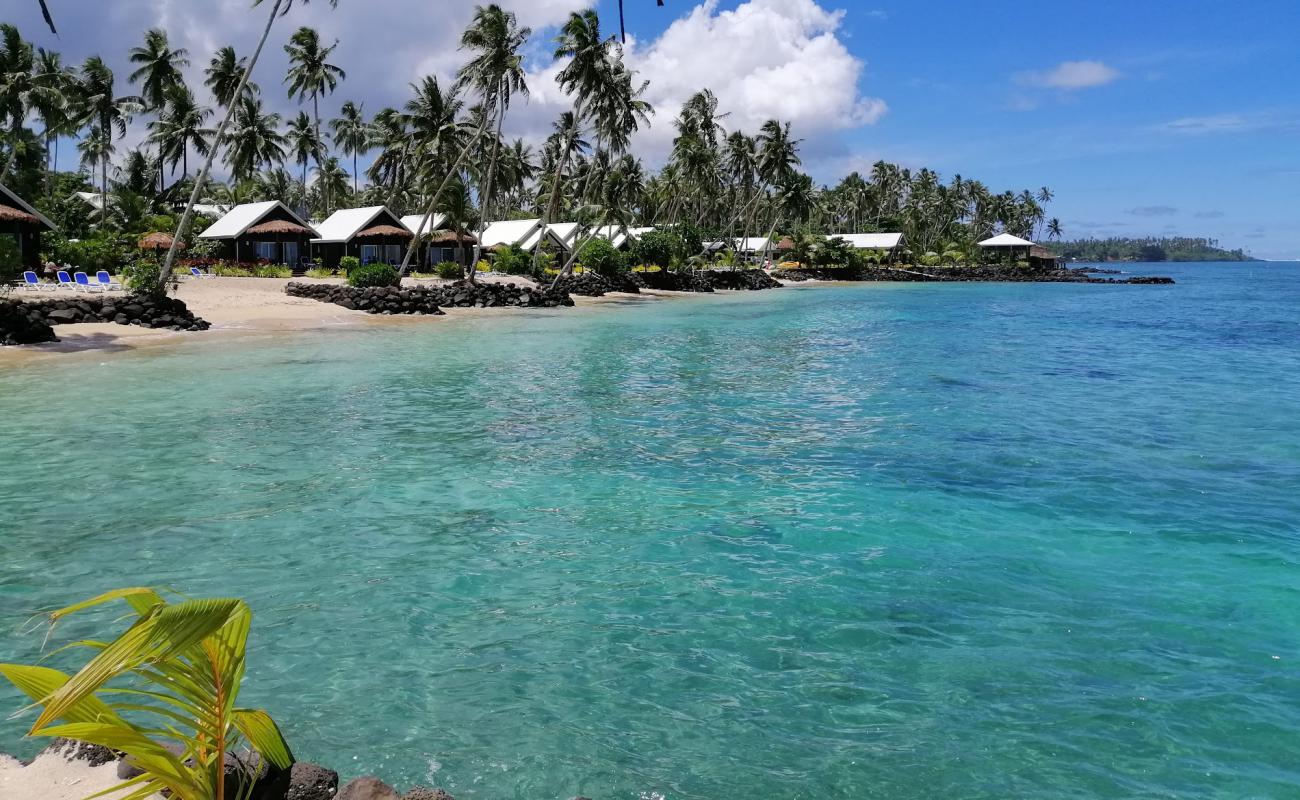 Saletoga Beach'in fotoğrafı parlak kum yüzey ile