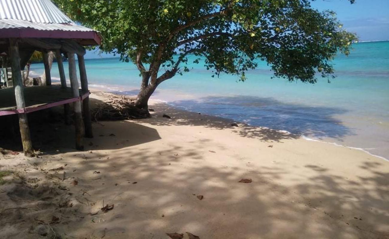 Tafatafa Beach'in fotoğrafı açık bej kum yüzey ile