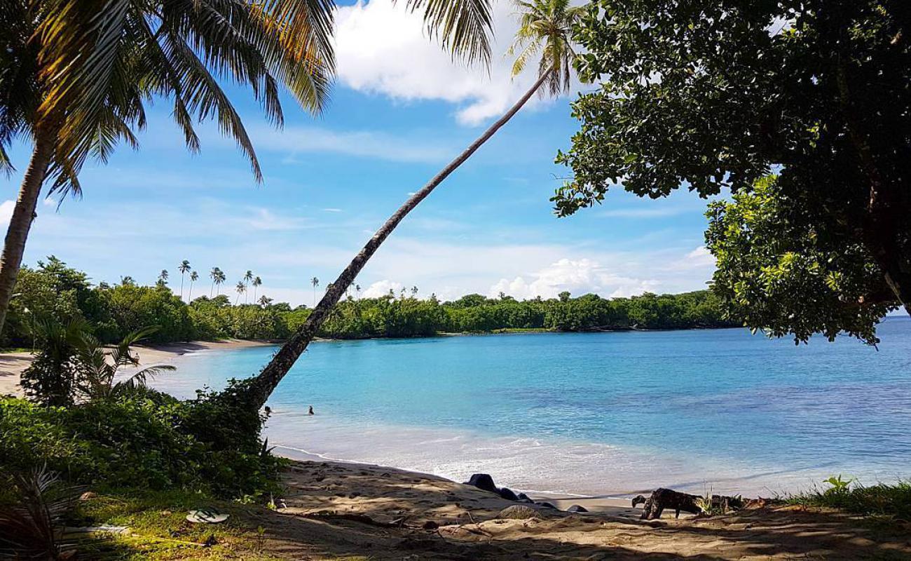 Cape Niuato'i beach'in fotoğrafı açık bej kum yüzey ile
