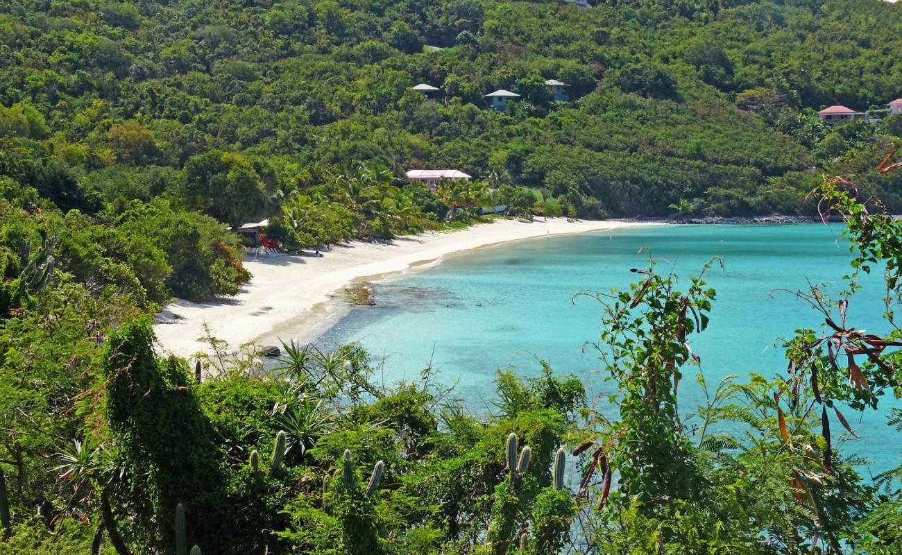 White Bay beach'in fotoğrafı i̇nce bej kum yüzey ile