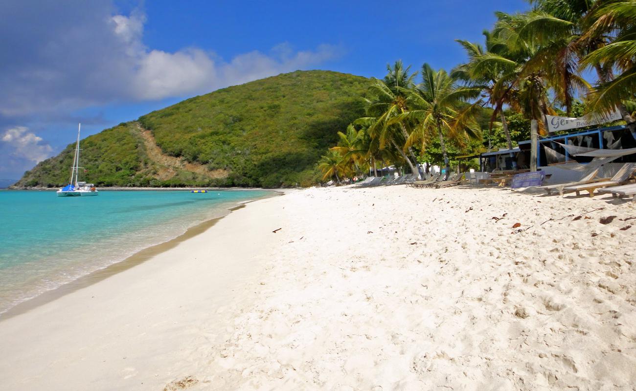 White Bay beach II'in fotoğrafı i̇nce bej kum yüzey ile
