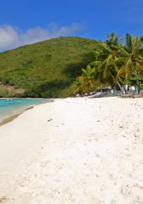 Jost Van Dyke Island