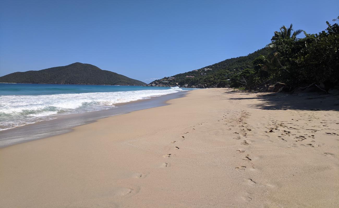 Lambert Bay beach'in fotoğrafı i̇nce bej kum yüzey ile