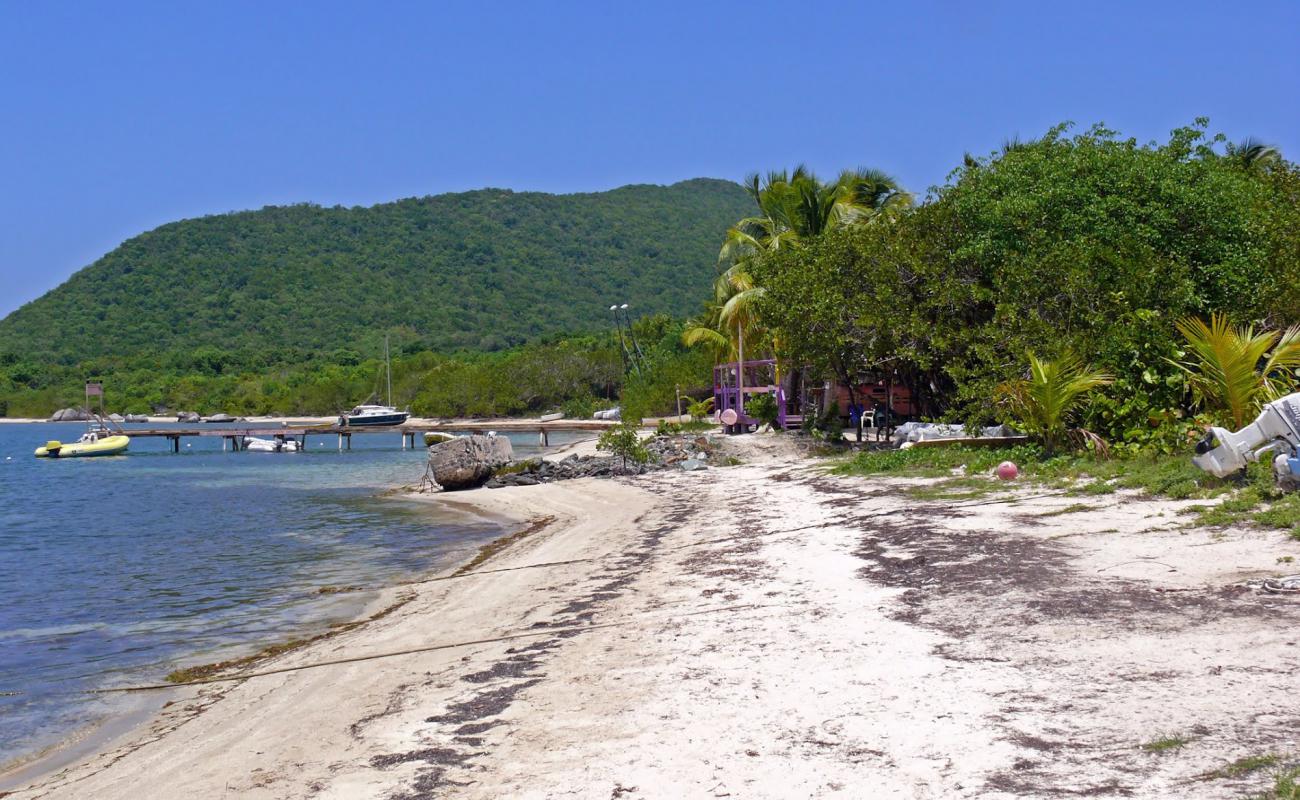 Trellis Bay'in fotoğrafı açık bej kum yüzey ile