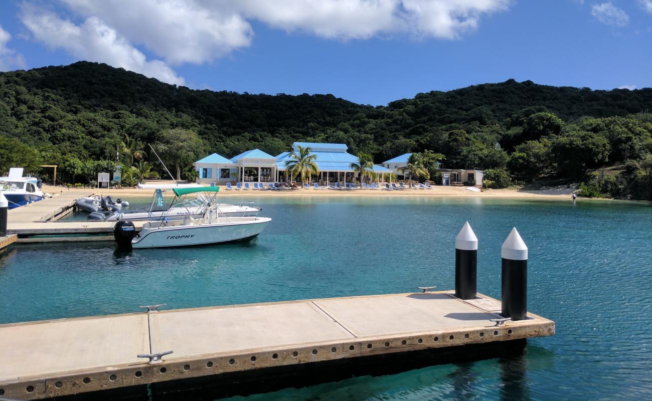 Bight Bay beach'in fotoğrafı parlak ince kum yüzey ile