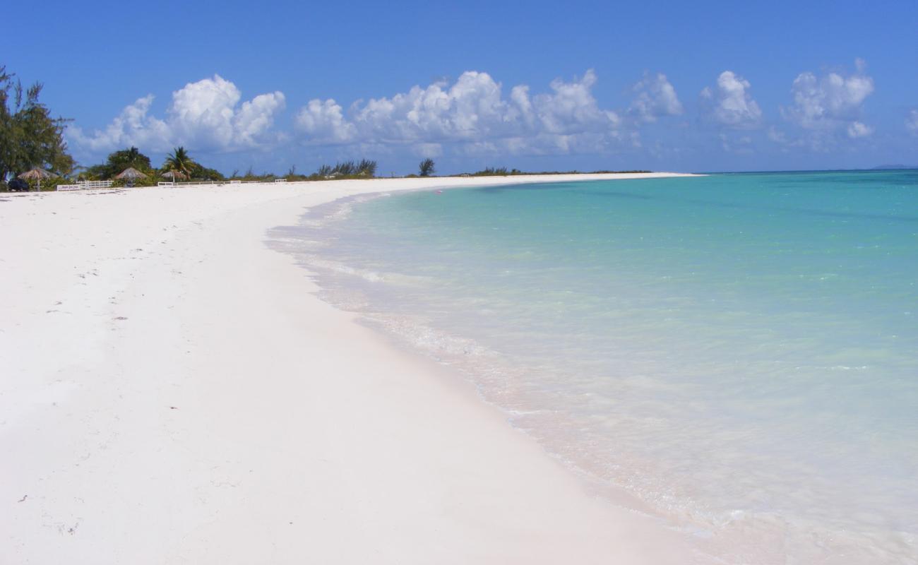 Pomato Point beach'in fotoğrafı i̇nce bej kum yüzey ile