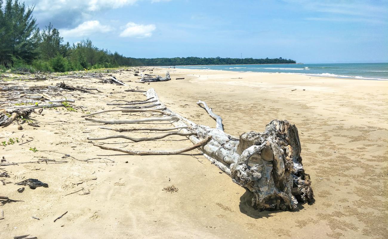Tanjung Batu Beach'in fotoğrafı açık bej kum yüzey ile