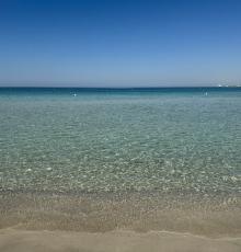 Lido Belvedere