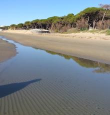 Spiaggia libera Colonia Marina