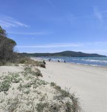 Maremma Beach