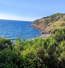 Bagno Calamoresca Beach