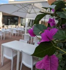 Shah Ristorante Lounge Bar