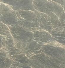 Lido Papele