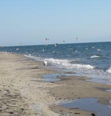 Lido Prisconte