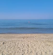 Lido Delfino