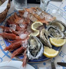 Alta Marea