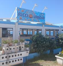 Ricciolandia