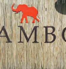 Jambo
