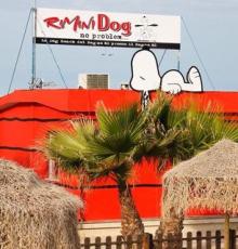 Spiaggia per cani a Rimini - Rimini Dog No problem