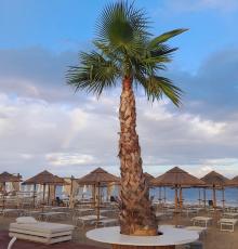 Lido Aurora