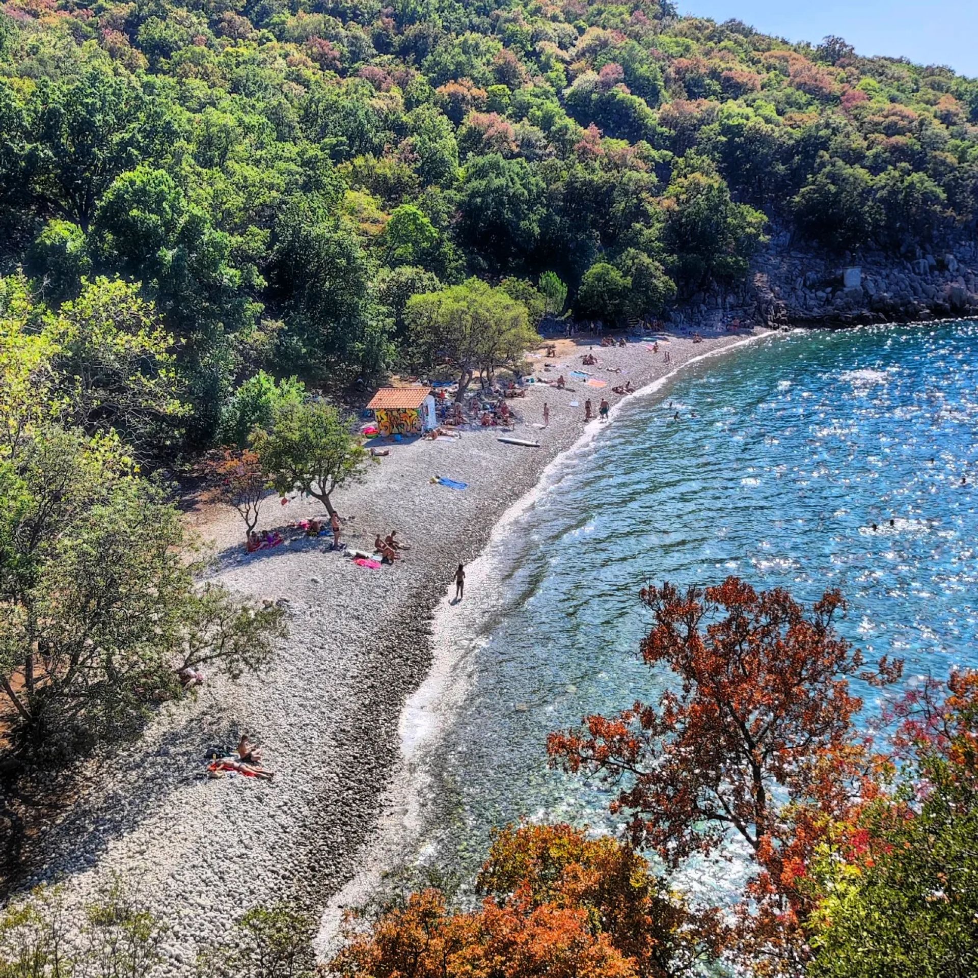 Stara Porozina'in fotoğrafı vahşi alan