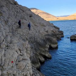 Vela luka Plajı'in fotoğrafı çok temiz temizlik seviyesi ile