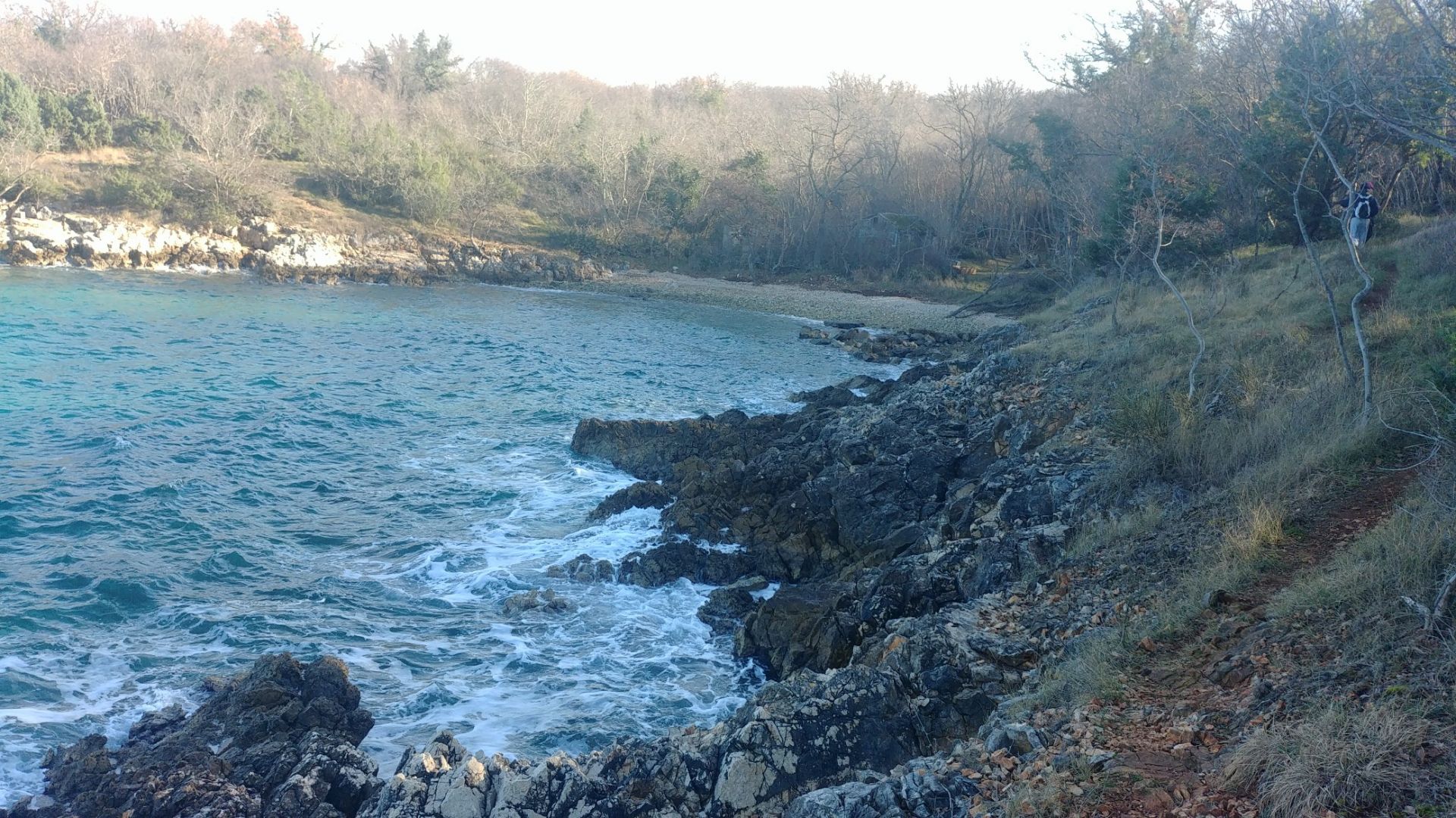 Pero beach'in fotoğrafı vahşi alan