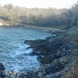 Pero beach'in fotoğrafı vahşi alan